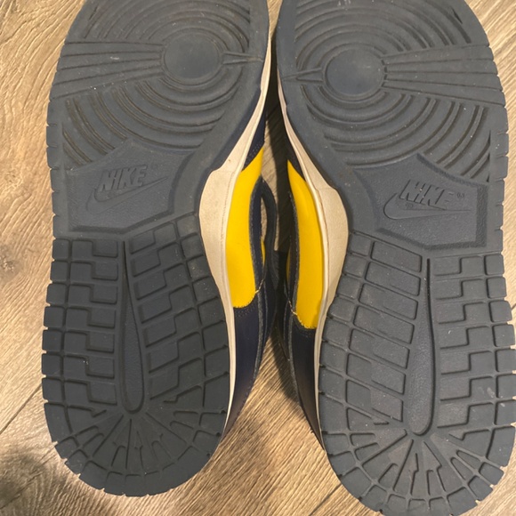 Nike Michigan dunk low main image 4